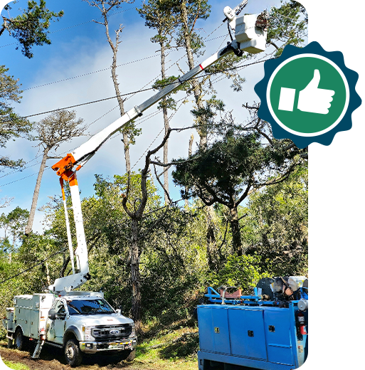 Bucket truck