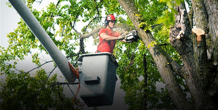 How to Succeed as a Seasonal Business
