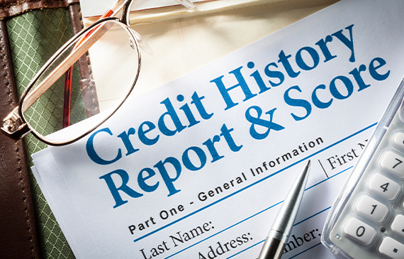 Credit History Report