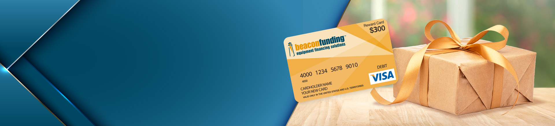 $300 Visa gift card and Gift package