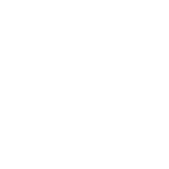 sales support